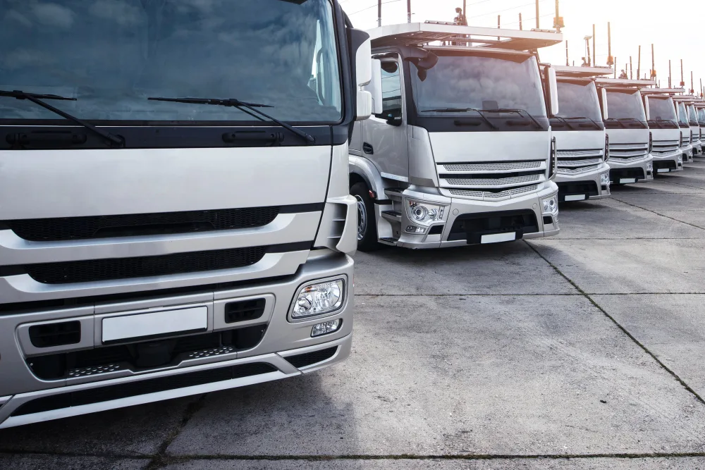 A Beginner's Guide to Grip Trucks